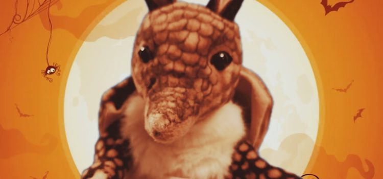 Apprend la Magie avec Seraphin