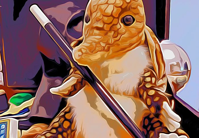 Seraphin le Tatou Magicien