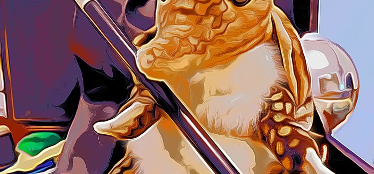 Seraphin le Tatou Magicien